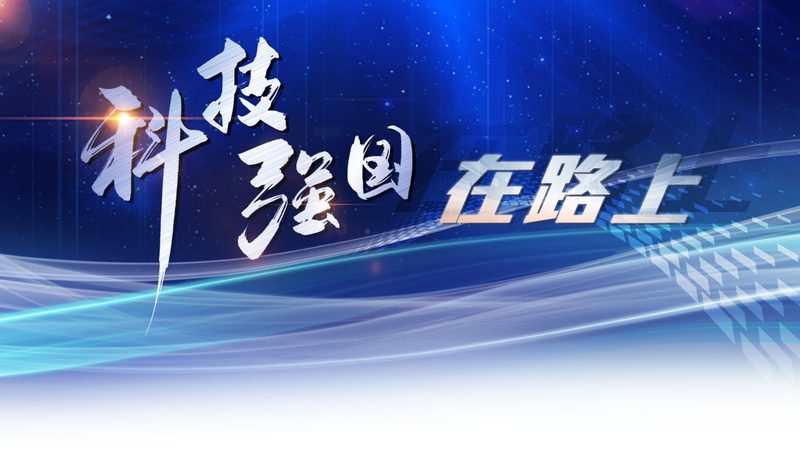 北京数字化解决方案：性价比背后的考量因素